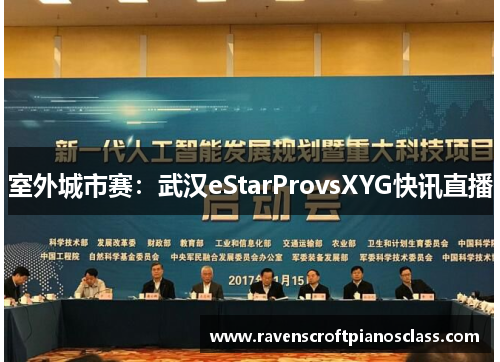 室外城市赛：武汉eStarProvsXYG快讯直播